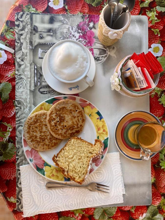 Tigrillo Bed&Breakfast オルビア エクステリア 写真