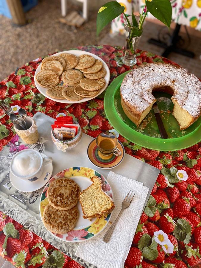 Tigrillo Bed&Breakfast オルビア エクステリア 写真